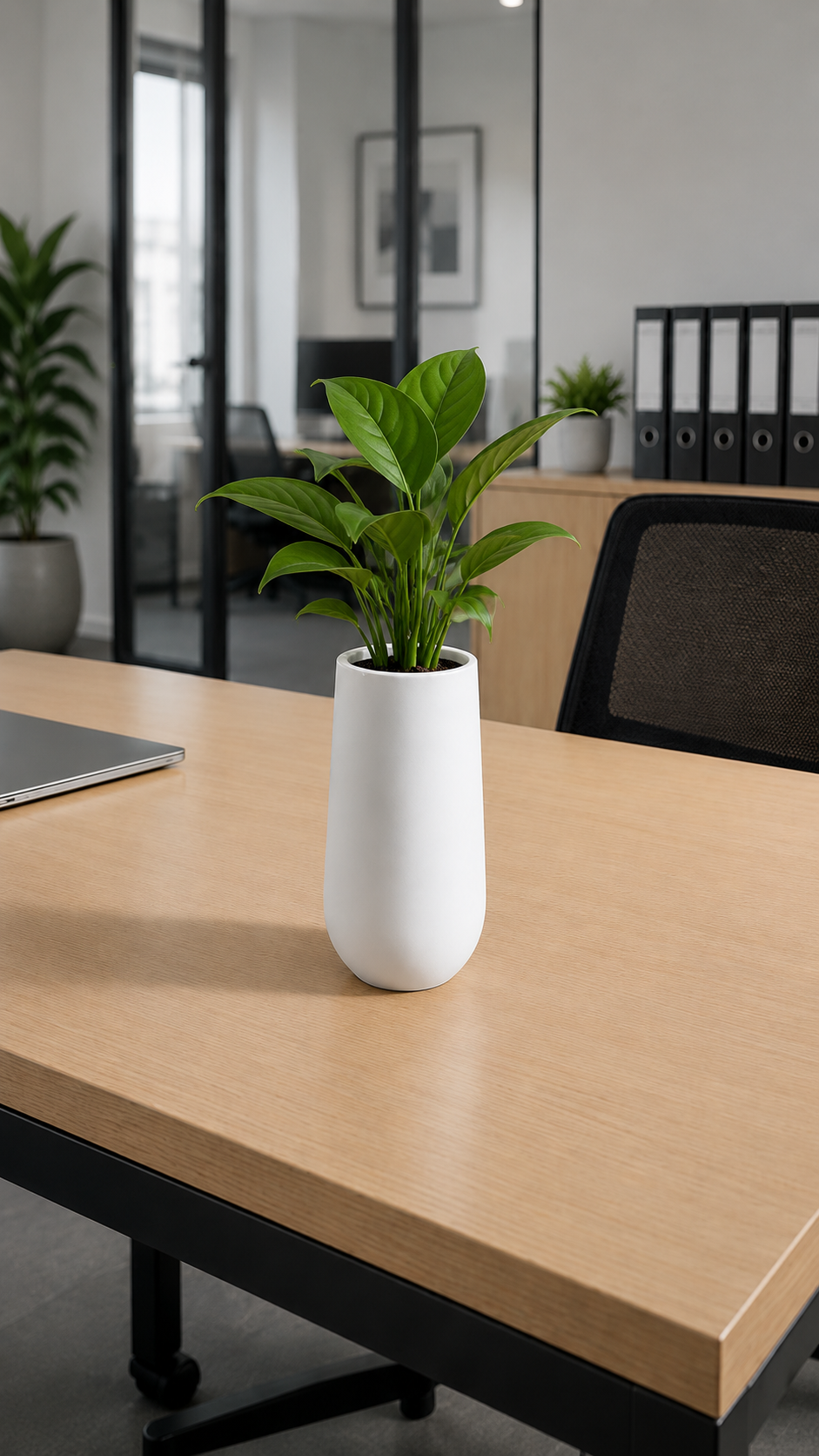Cono Tall FRP Planter- Small - Premium Planter at Hemkesh Group